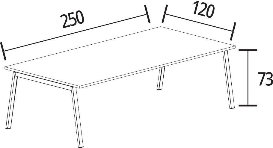 250 x 120 cm