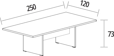 250 x 120 cm