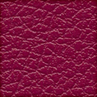 Bégonia (013 32 046)