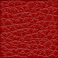 Groseille (013 32 026)