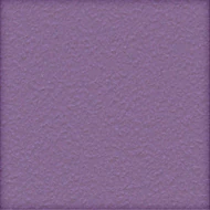 Pensée (010 94 020)