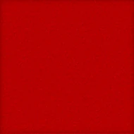 Tomate (010 94 014)