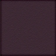 Prune (010 94 021)
