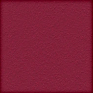 Fuchsia (010 94 007)