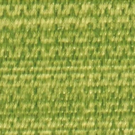 Olive (011 21 022)
