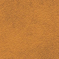 Ambre (011 33 004)