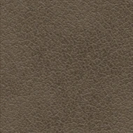 Mastic (011 33 007)
