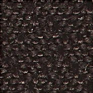 Tissu Présidio