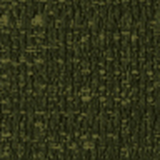AO509