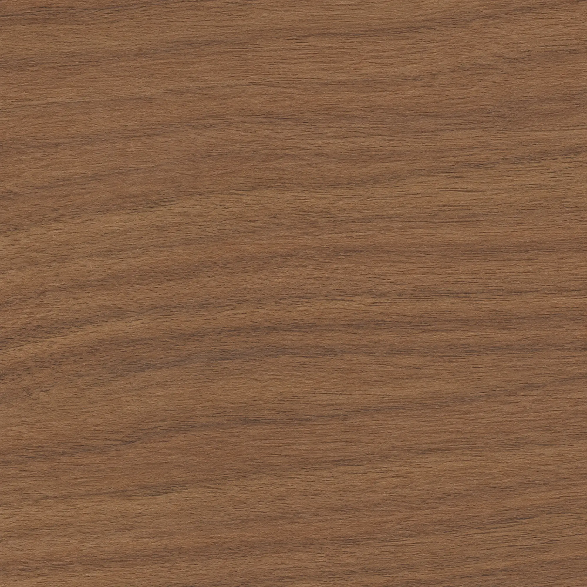 Noyer naturel