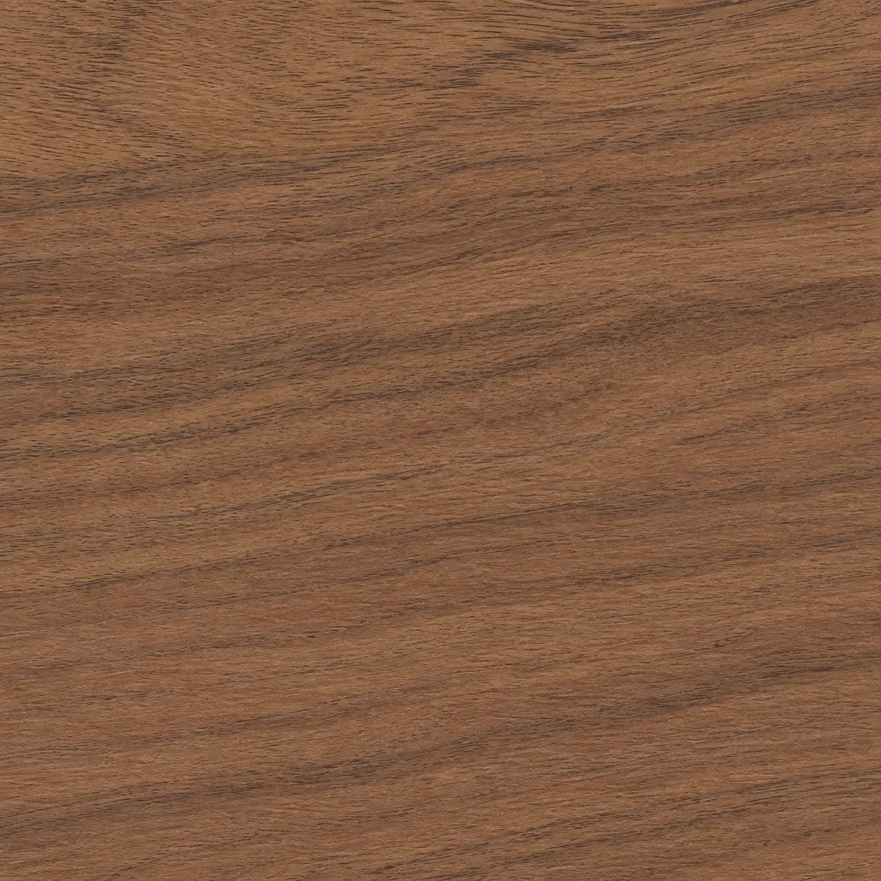Noyer naturel
