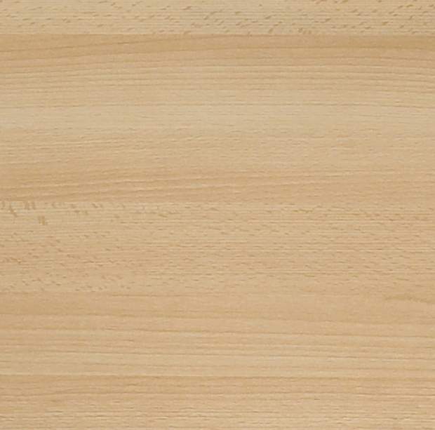 Hêtre